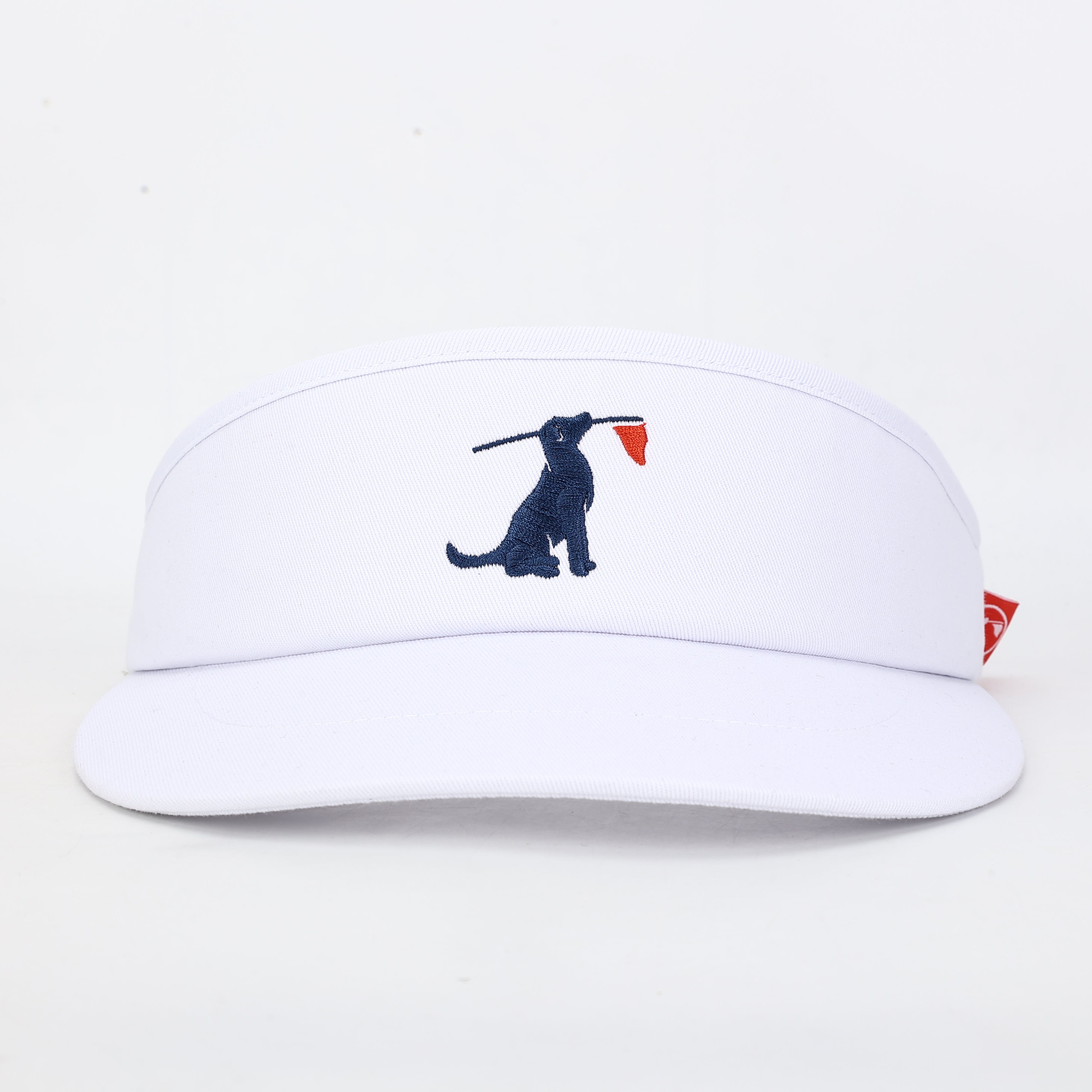 The BR Tour Visor