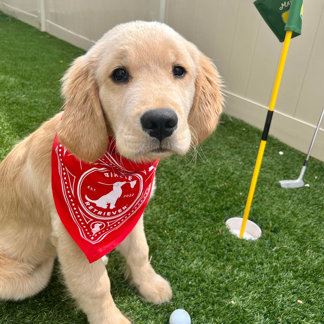 Free Birdie Retriever Doggy Bandanas (FREE With Polo or Q-Zip Purchase)