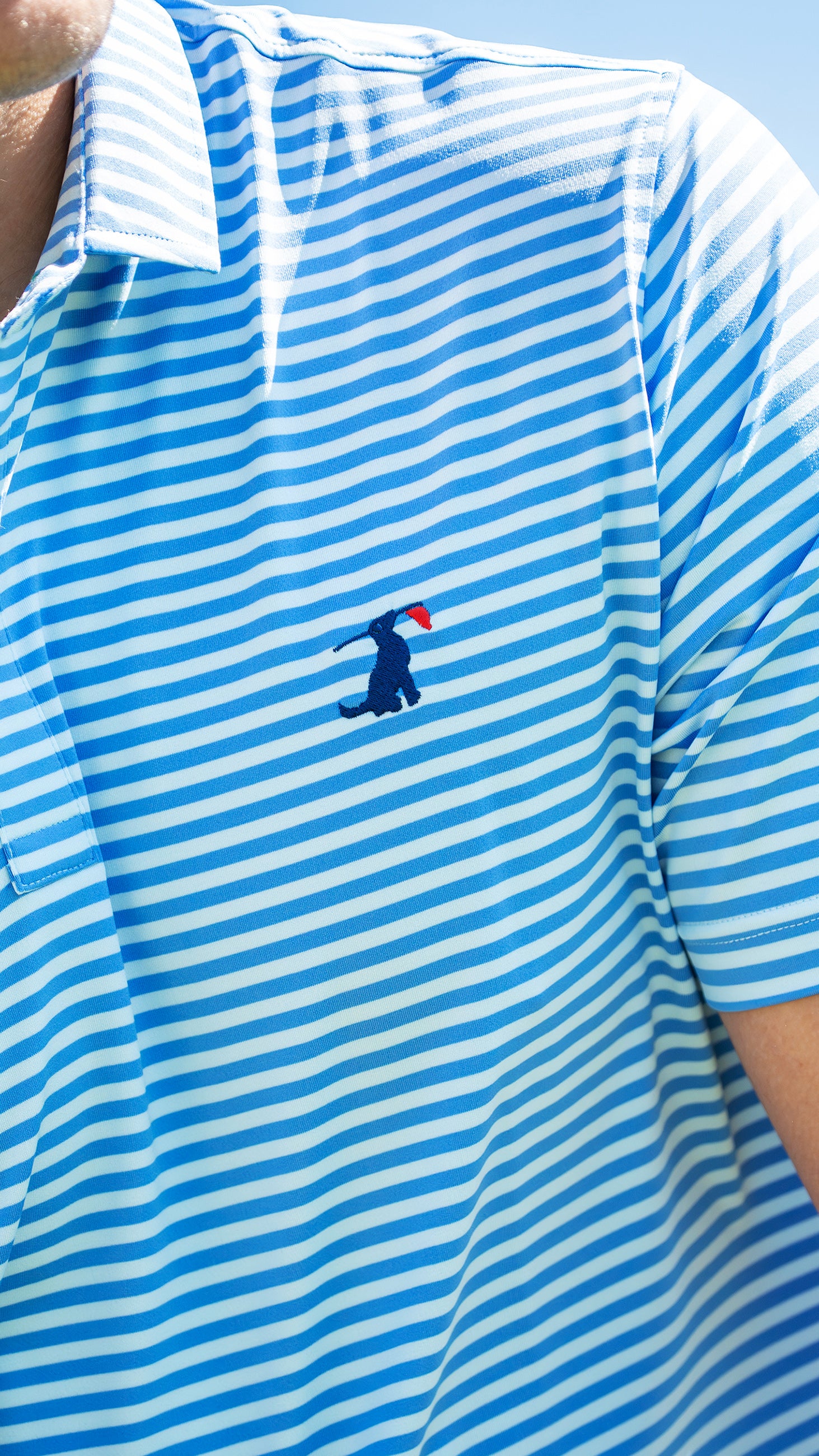Birdie Blue Polo 2.0