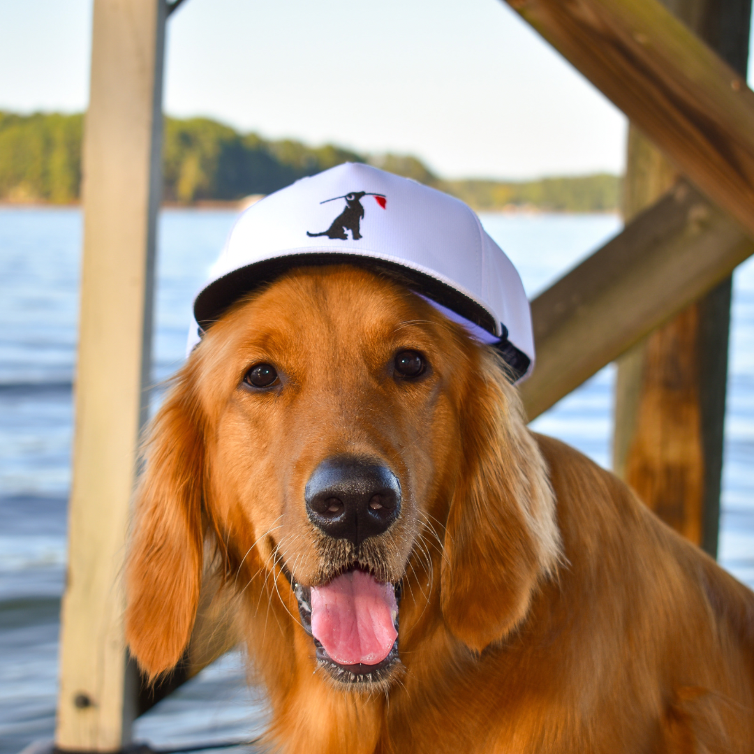 Birdie Retriever Rope Hat